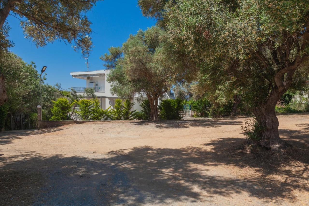 Althea Suites By Rentalspro Services - Nea Moudania Halkidiki Bagian luar foto